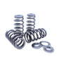 Kelford Cams Extreme Racing Valve Springs BMW B58 / S58 3.0L