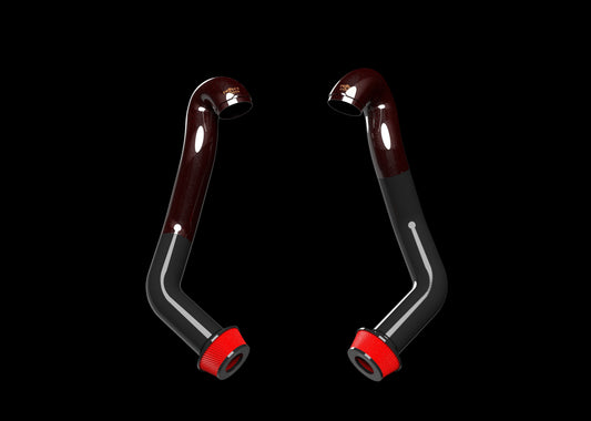 BMW X5M | X6M (F95/F96) Carbon Fiber Intakes Online